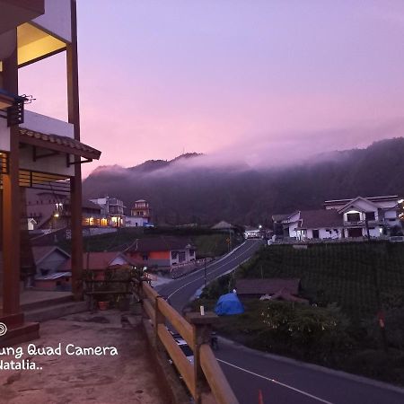 Bromo Deddy Homestay المظهر الخارجي الصورة