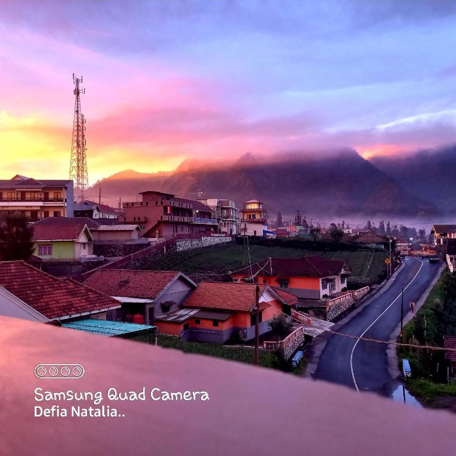 Bromo Deddy Homestay المظهر الخارجي الصورة