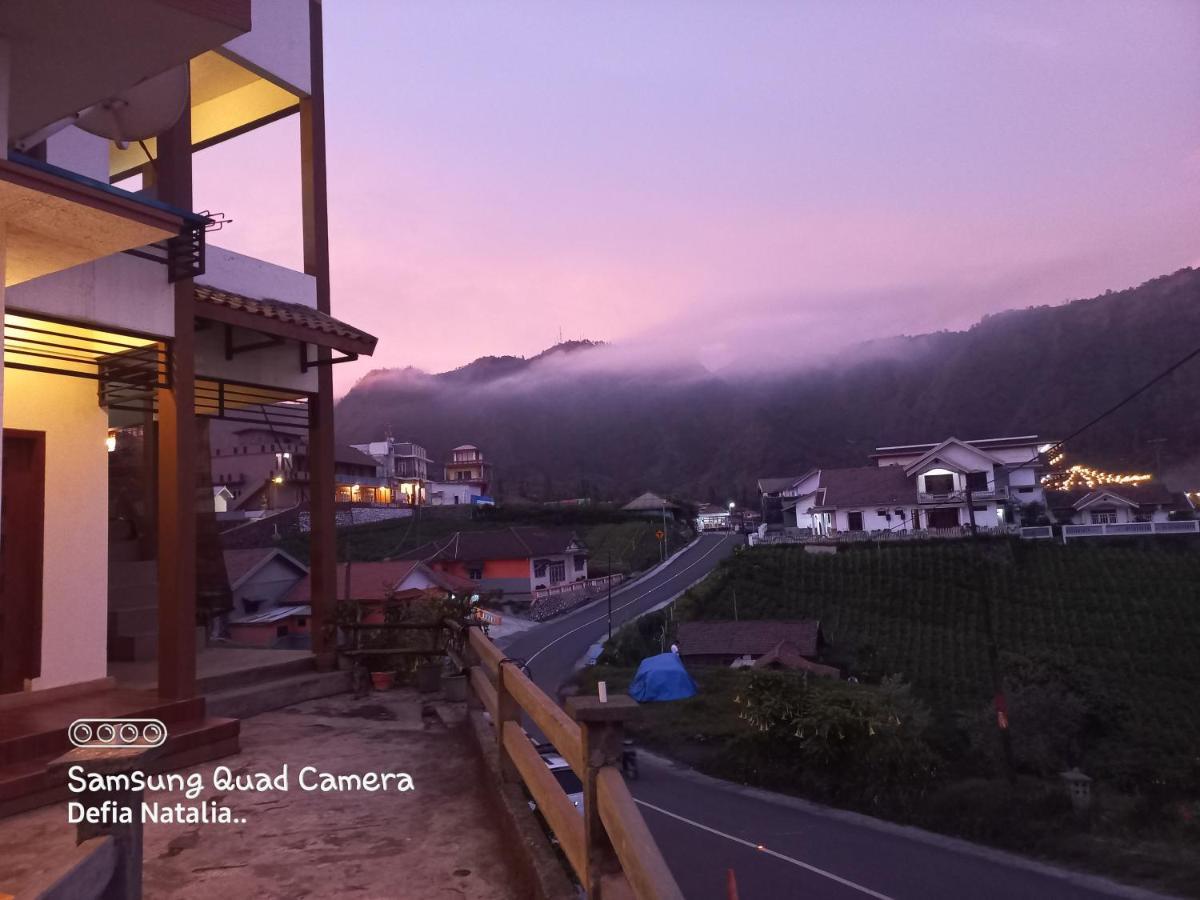 Bromo Deddy Homestay المظهر الخارجي الصورة