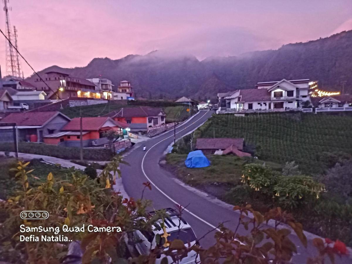 Bromo Deddy Homestay المظهر الخارجي الصورة