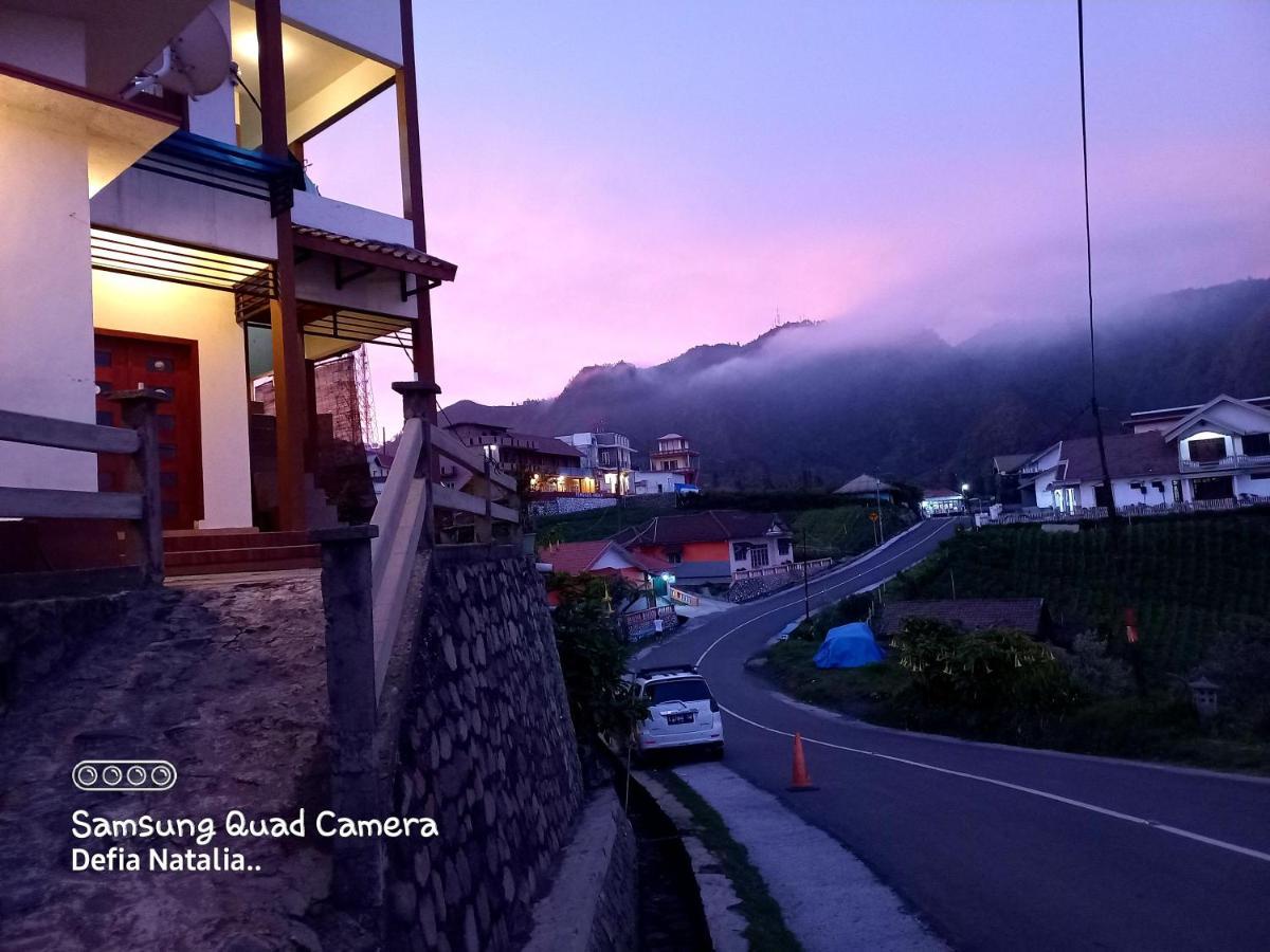 Bromo Deddy Homestay المظهر الخارجي الصورة