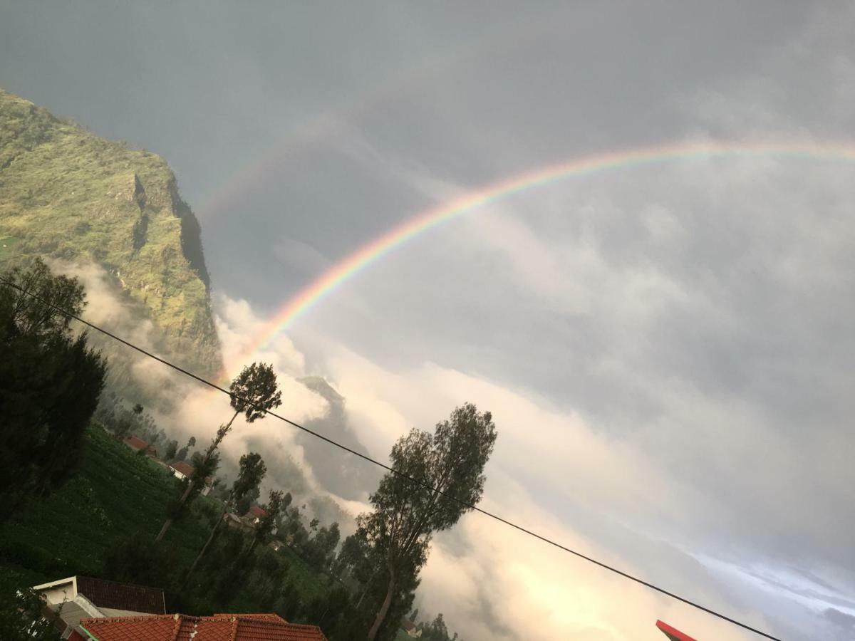 Bromo Deddy Homestay المظهر الخارجي الصورة